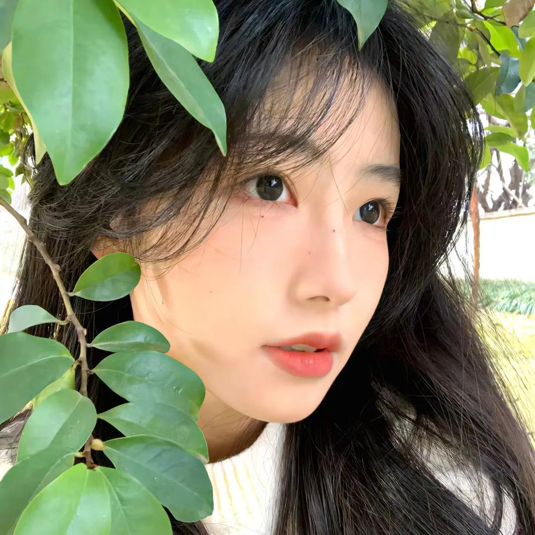 网红大事件