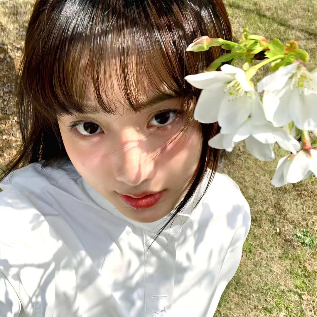 欢迎你到阿尔村